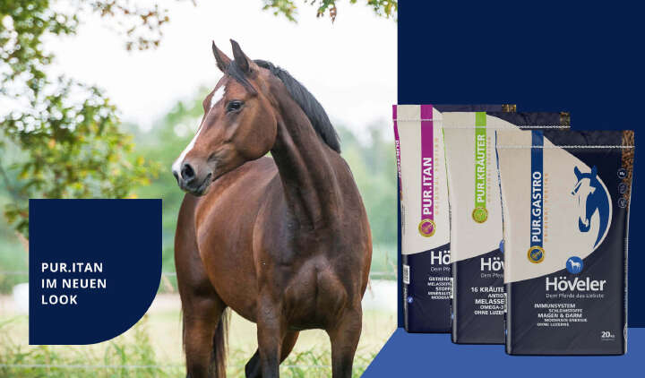 teaser neuer Look Dunkelblau